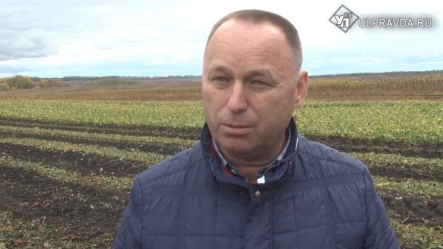 Почти 60 тысяч тонн сахарной свеклы собрали с региональных полей смотреть онлайн