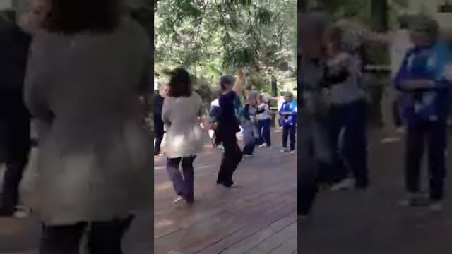 Anna Halprin class feb 2015 смотреть онлайн