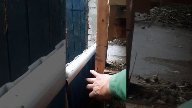 Кролики переехали под навес