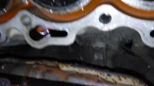 Почему не запускался двигатель Honda Rafaga G20A.