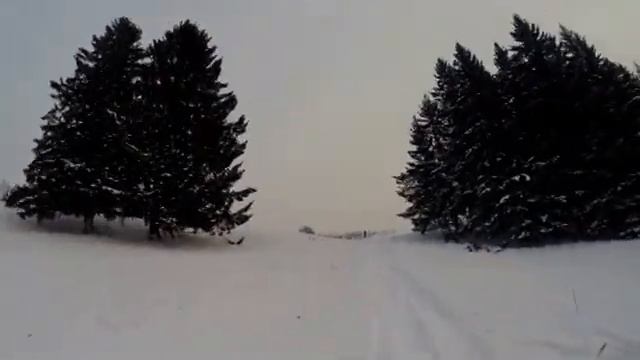 динго2 смотреть онлайн