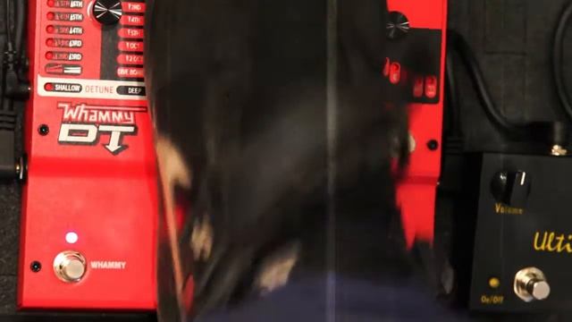 Pedalboard Meeting - Digitech Whammy DT