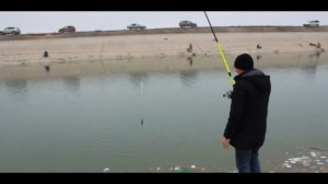 Рыбалка в Крыму на Северо-Крымском канале.Весенняя рыбалка 2024.
