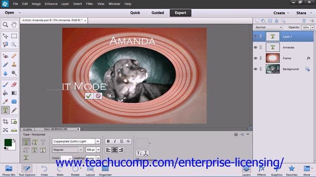 Adobe Photoshop Elements 12 Tutorial Text Employee Group Training 11.1 смотреть онлайн