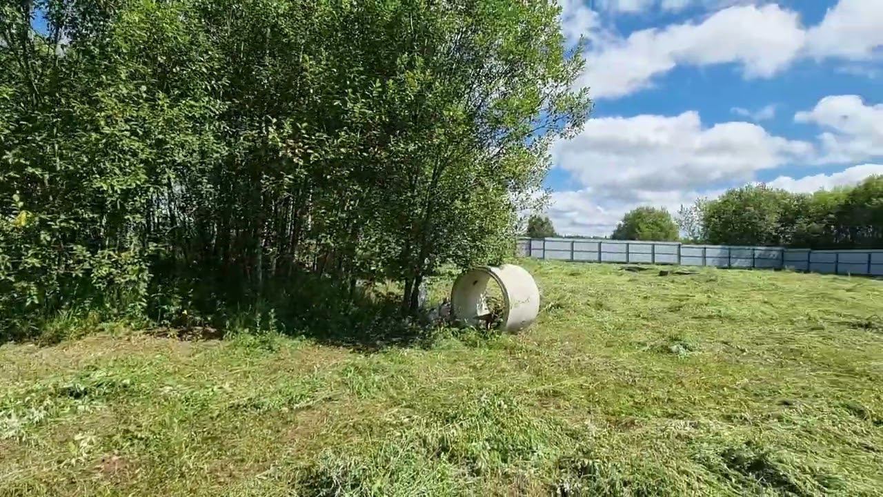 29 июля 2024 г. смотреть онлайн