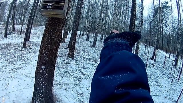 Кормление синиц с руки / Hand feeding birds смотреть онлайн