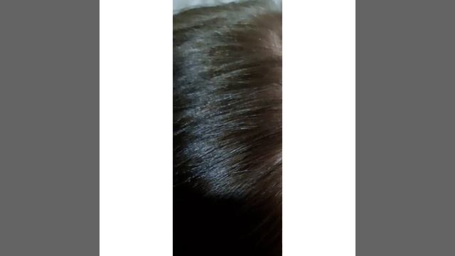 LOREAL EXCELLENCE   6.1  Küllü Kahve  BOYA DENEYIMI