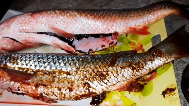 ??Ləvəngi Balıg.Cənub Bölgəsinin Məhşur Yeməyi/Фаршированная рыба по Азербайджански?