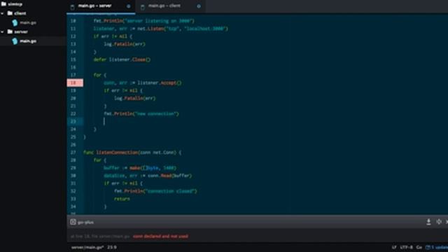Simple TCP echo server in Go смотреть онлайн