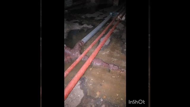 Сцы в глаза жкхашникам,им Божья роса!Где деньги,Свет...???Наглость ЖКХ! #летопись32 #осгбрянск #жкх смотреть онлайн