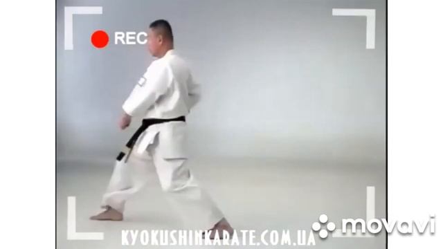 для сдачи ката на 10 кю кюкушин каратэ. смотреть онлайн