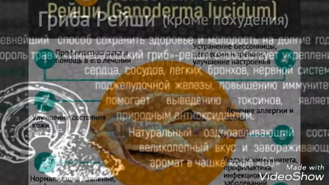 Кофе Go от Армэль! Уже в продаже г.Мелеуз? смотреть онлайн