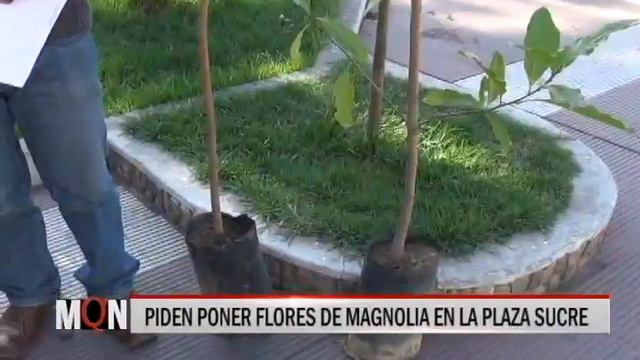 04/12/14 12:45 PIDEN PONER FLORES DE MAGNOLIA EN LA PLAZA SUCRE смотреть онлайн