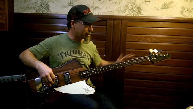 Ibanez Thunderbird смотреть онлайн