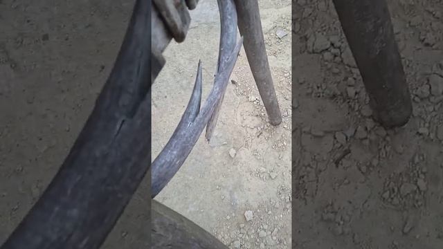 старинный стул смотреть онлайн