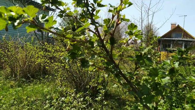 Экскурсия Пришла весна. Степанова Наталья смотреть онлайн