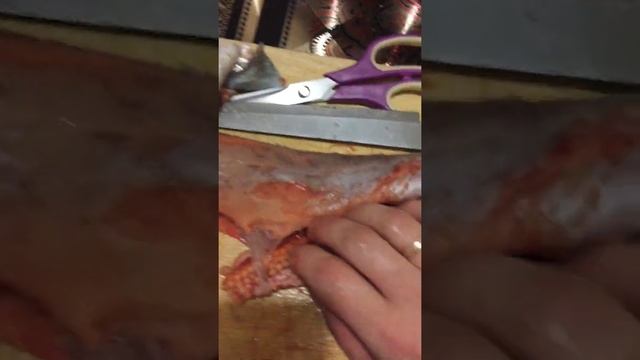 Как выглядит самка горбуши смотреть онлайн