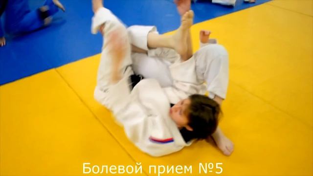 Болевые приёмы на ногу.МСМК Камалова.Фильм №15 смотреть онлайн