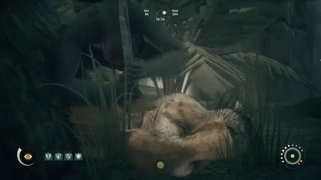 Ancestors- The Humankind Odyssey Gameplay- Road to Millennium Man Part 2 смотреть онлайн