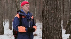Как ориентироваться в лесу, если заблудился
