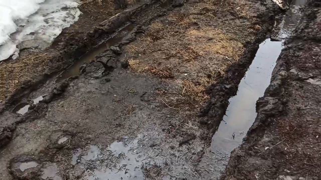 Вот весна, так весна!