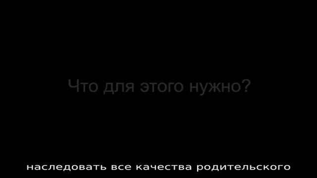 Размножение фуксии черенками в домашних условиях: советы и рекомендации смотреть онлайн