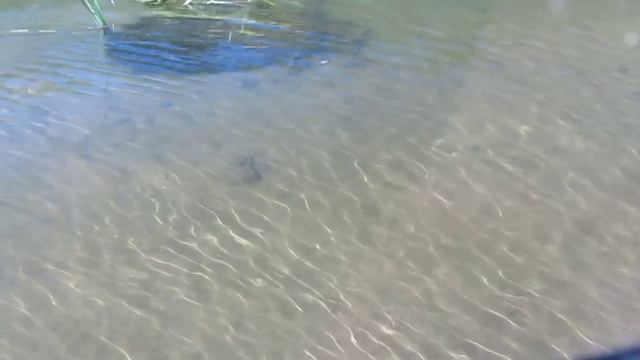 Хопёр через поляризационные очки смотреть онлайн