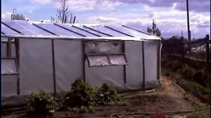 Теплица для помидоро