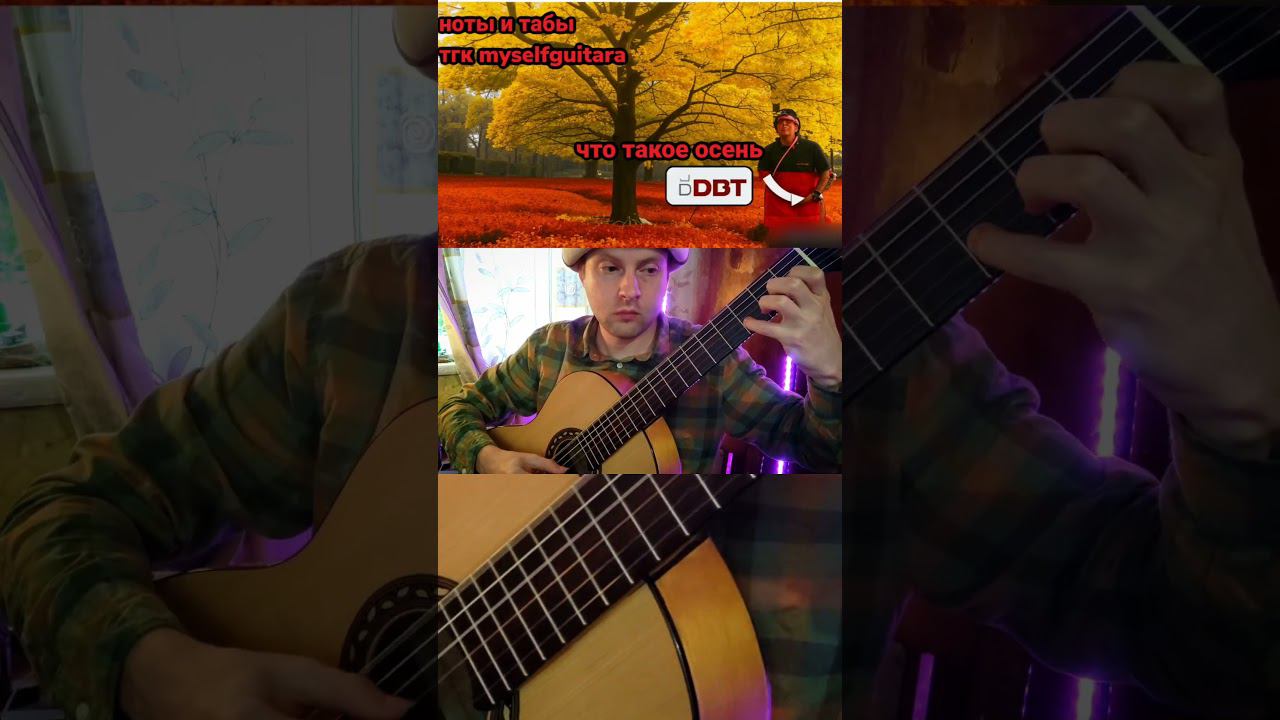 ДДТ что такое осень на гитаре #shorts смотреть онлайн