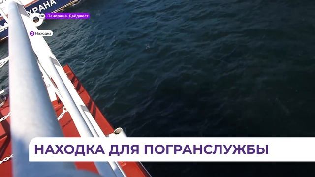 Прошёл Севморпутём. Новый пограничный патрульный корабль прибыл в Находку смотреть онлайн