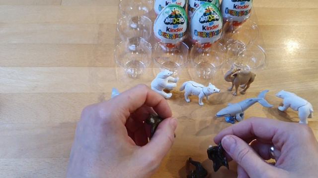 #киндерсюрприз #киндер #kindersurprise Киндеры в Германии