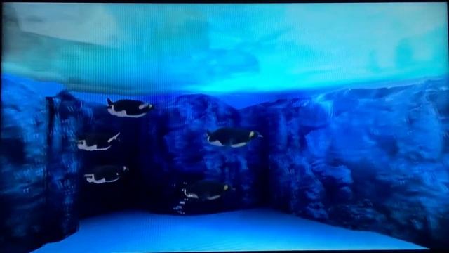 Let's Play: Fishing Resort Wii, Aquarium Tour смотреть онлайн