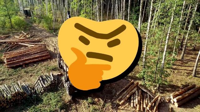 how to never write bug смотреть онлайн