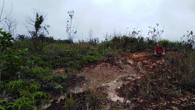 Fosil MTB dalam trail taman tunku miri смотреть онлайн