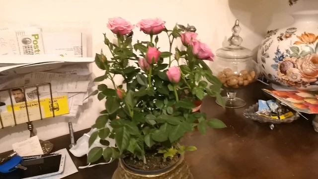 ПОКУПКИ ИЗ МАГАЗИНОВ "MERCATINO USATO".РЕСТАВРИРУЮ СТАРЫЙ ГРАМMОФОН! смотреть онлайн