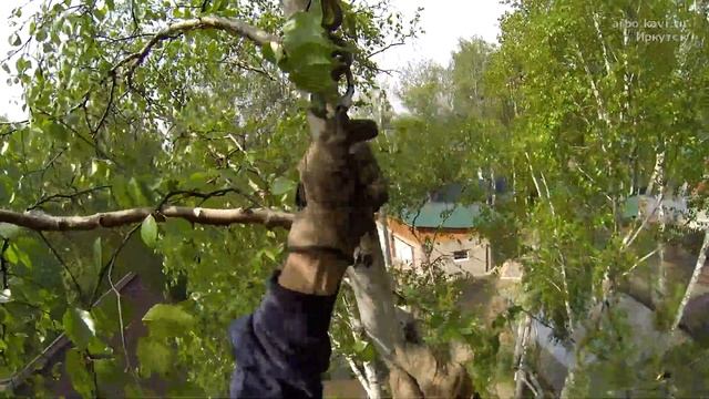 Завеска на соседнее дерево смотреть онлайн