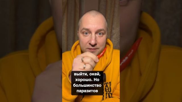 Можно ли избавиться от паразитов с помощью чили перца? ￼ смотреть онлайн