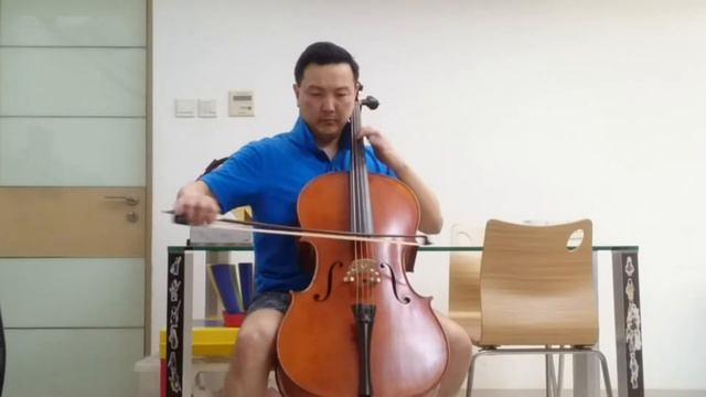 Versum vs. Magnacore Cello Strings смотреть онлайн