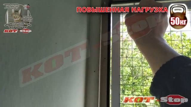 ? Защитная Сетка Решетка-антикошка от падения кошек из окон КОТ-Stop НА ОКНО В КОМНАТУ Заказ № 3075 смотреть онлайн