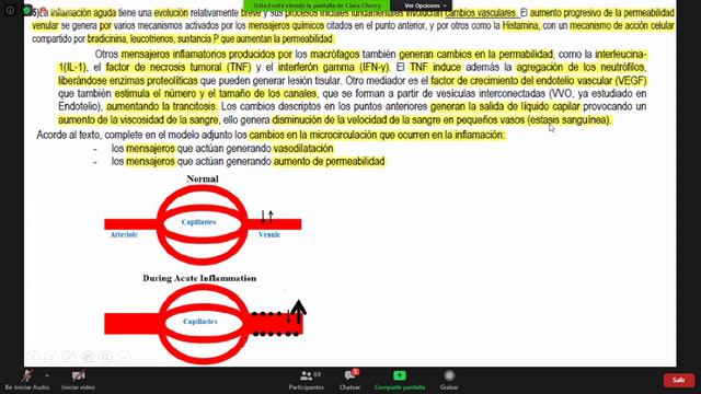 Guía fisio UT4 смотреть онлайн