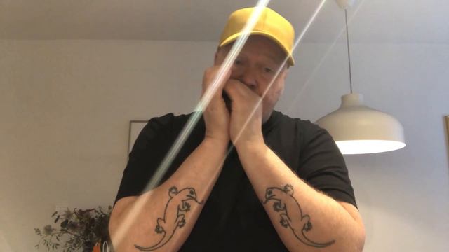 Caress Me Baby - blues harmonica - Jimmy Reed cover смотреть онлайн