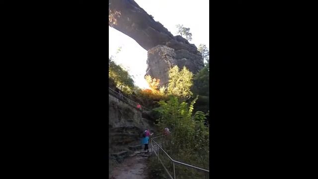 Sächsische Schweiz смотреть онлайн