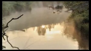 Эдуард Изместьев(А.Бандера)» За окном черемуха колышется»