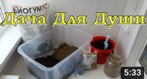 Как приготовить хороший грунт для РАССАДЫ????