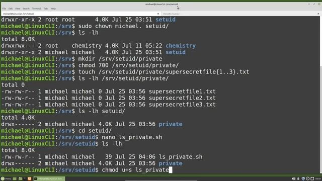 Linux Command Line (25) setuid смотреть онлайн