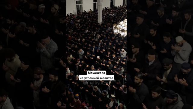 Мольба о прекращении кровопролития в Палестине🤲 #ислам #дагестан #мусульмане #махачкала #муфтиятрд смотреть онлайн