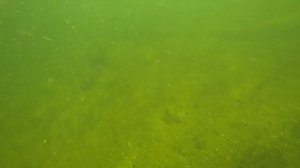 Тайны дна морского....что же у нас на Волге под водой????