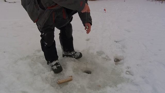 Нашёл водоём где РАКИ зимуют. Ловим РАКА. ловим ЩУКУ на жерлицы.2023г. смотреть онлайн