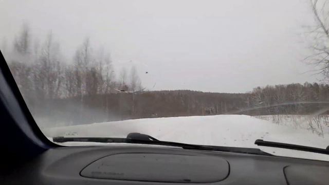 Декабрь - первый месяц зимы.#декабрьпервыймесяцзимы# смотреть онлайн