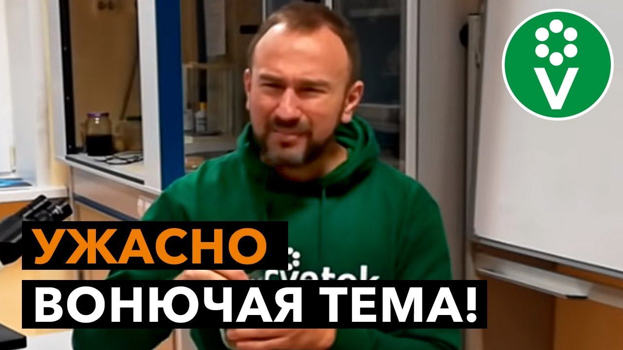 Эффективные СРЕДСТВА ОТ ЗАПАХА для септиков, выгребных ям и подстилок смотреть онлайн